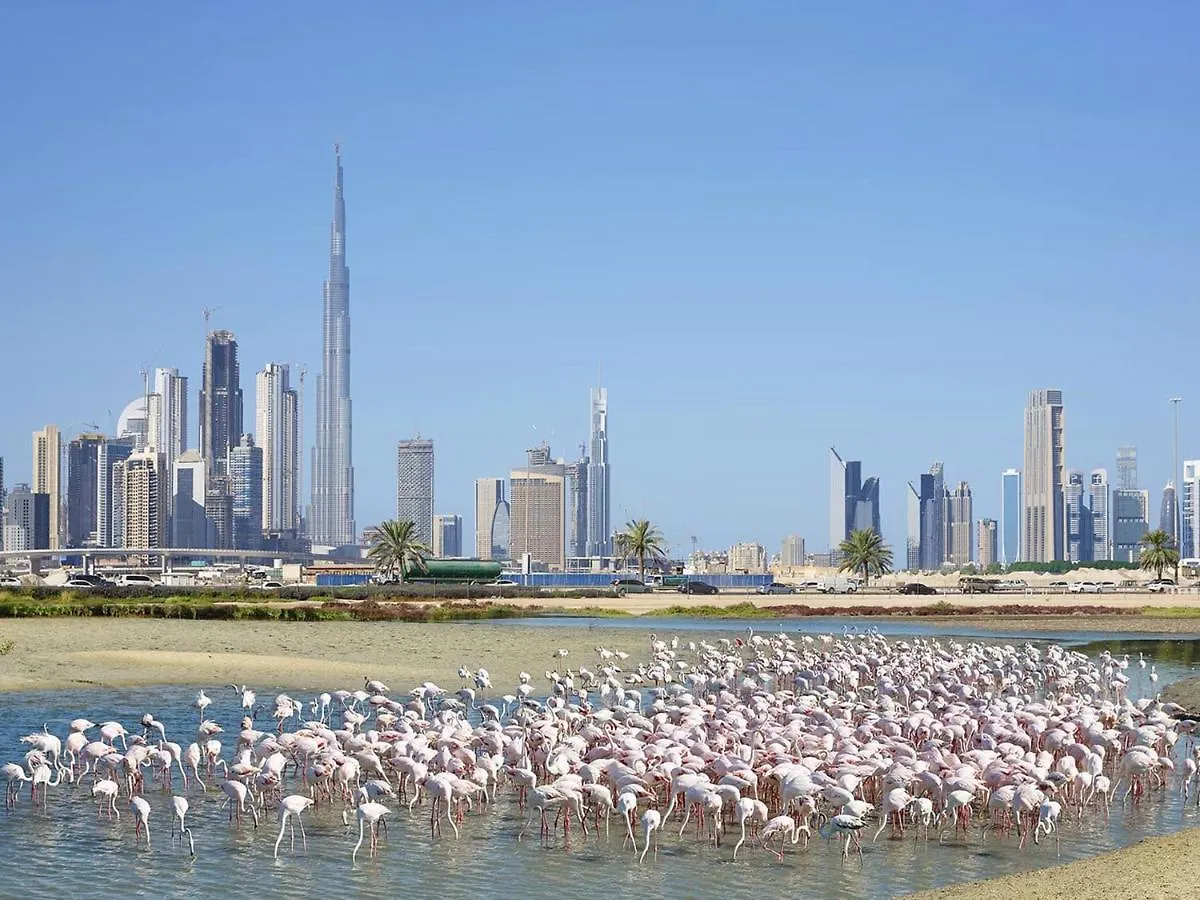 Cosmos Living - Dubai Creek Harbour Apartment